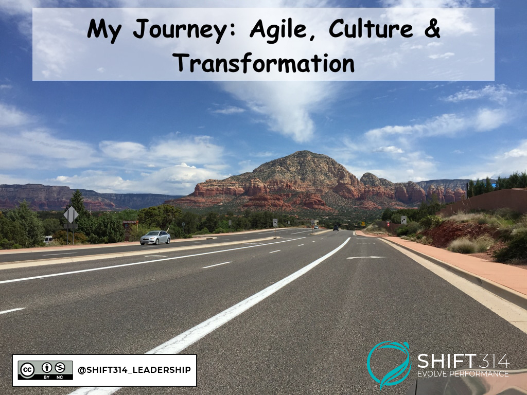 Agile Culture & Transformation Journey
