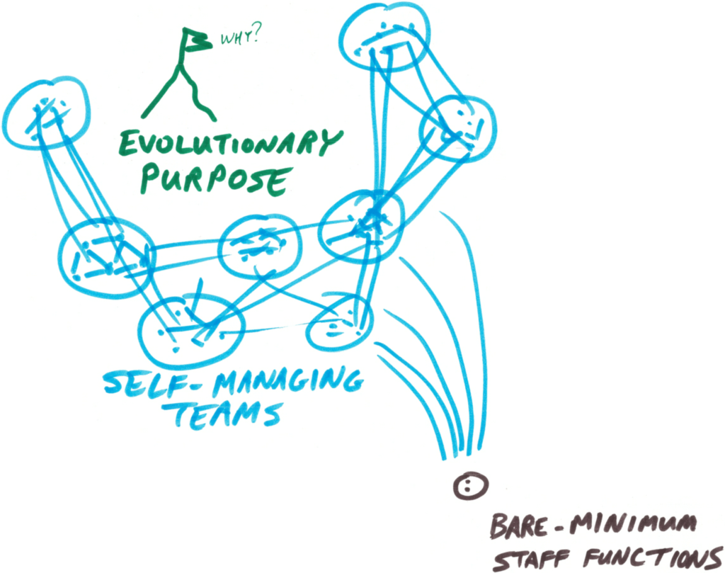 Illustration explaining that People and Teams in Teal are self-managing