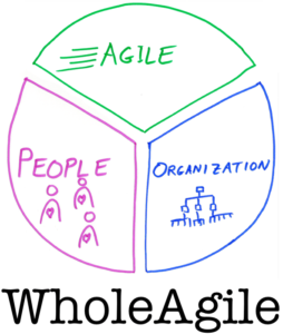 Whole = Agile + People + Organization