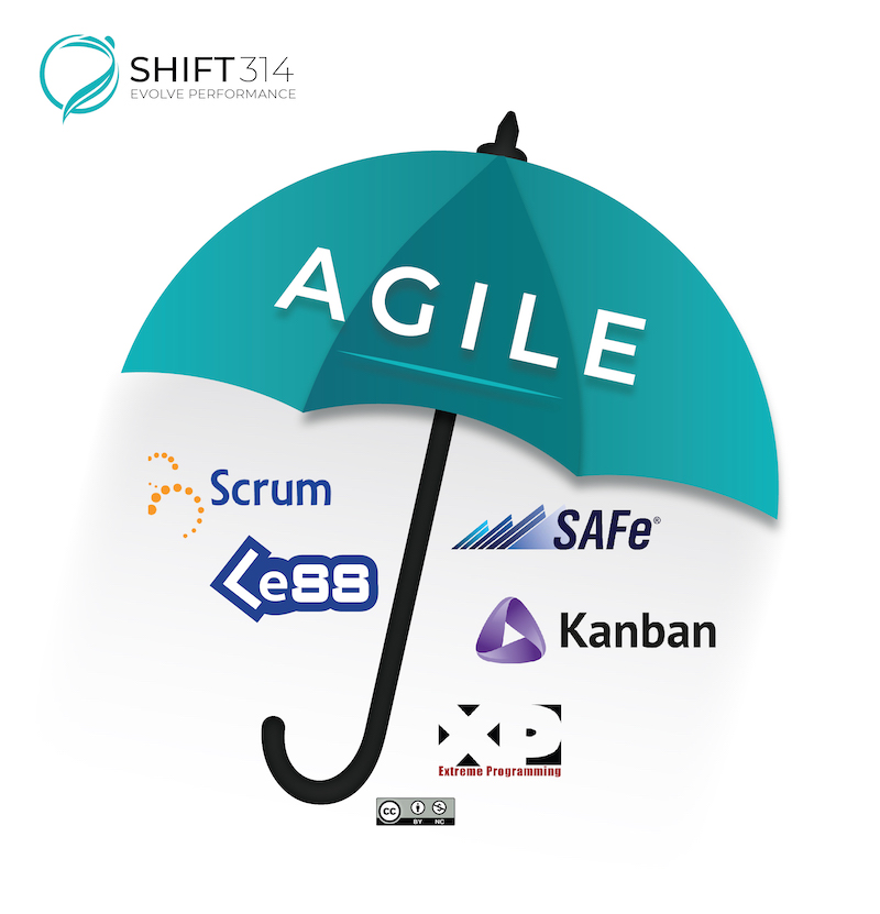 The Agile Umbrella Graphic