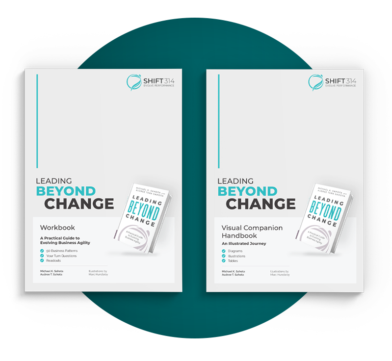 Companion Kit Book Image Leading Beyond Change Companion Kit