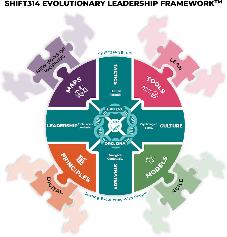 The SHIFT314 Evolutionary Leadership Framework<sup>TM</sup> (SELF)