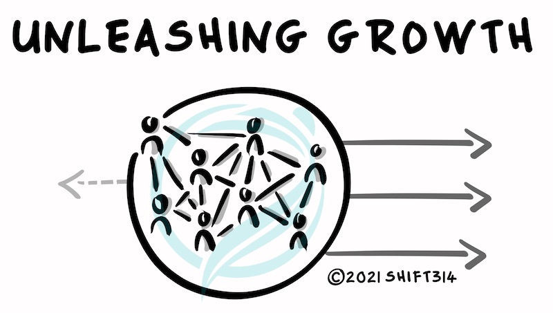 unleashing-growth-alignment Unleashing Growth Diagram